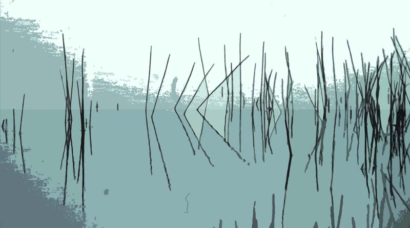 Tiree Reeds